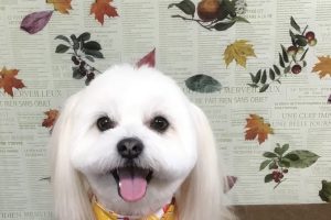 11月のお友達☆