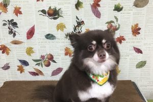 11月のお友達☆