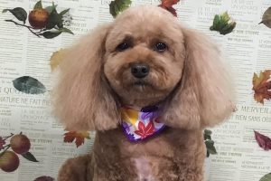 11月のお友達☆