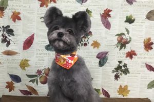 11月のお友達☆