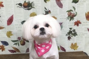 11月のお友達☆