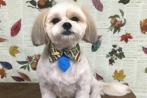 11月のお友達☆