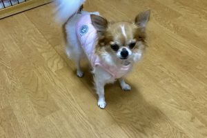 お泊り中☆