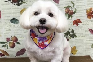 11月のお友達☆