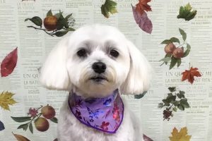 11月のお友達☆