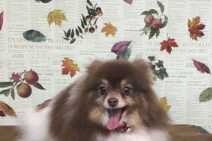11月のお友達☆