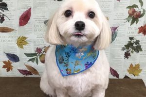 11月のお友達☆