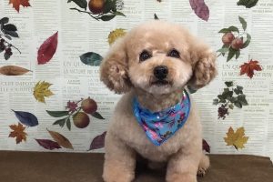 11月のお友達☆