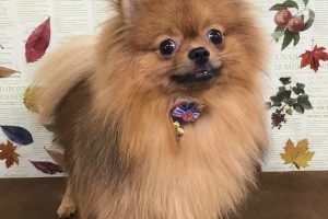 11月のお友達☆