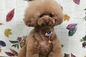 11月のお友達☆
