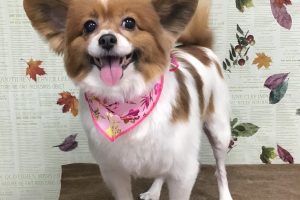11月のお友達☆