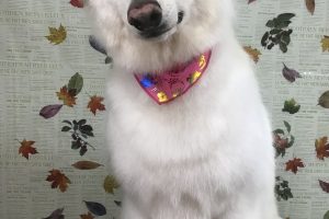 11月のお友達☆