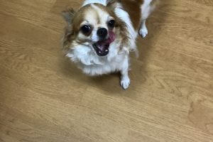 お泊り中☆