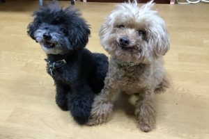 お泊り☆