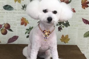 11月のお友達☆