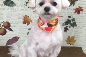 11月のお友達☆