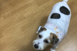 お泊り中☆