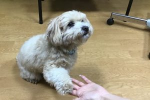 お泊り☆