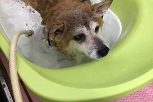 11月のお友達☆