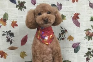11月のお友達☆