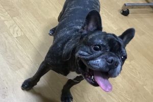 お泊り☆