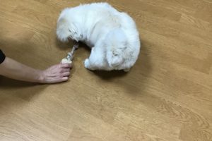 お泊り☆