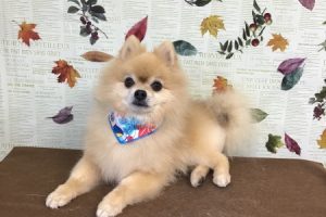 11月のお友達☆