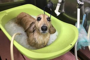 11月のお友達☆