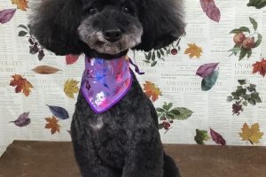 11月のお友達☆