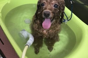 11月のお友達☆