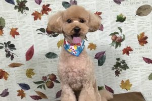 11月のお友達☆