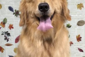 11月のお友達☆