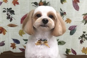 11月のお友達☆