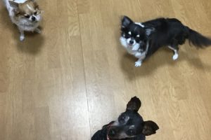 お泊り中☆