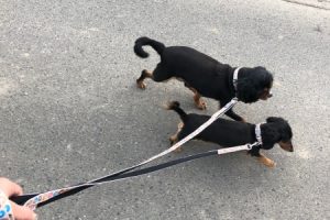 お泊り中☆