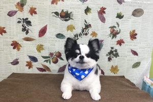11月のお友達☆