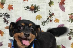 11月のお友達☆
