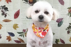 11月のお友達☆