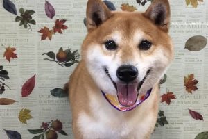 11月のお友達☆