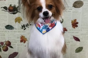 11月のお友達☆