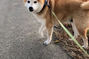 お泊り中☆