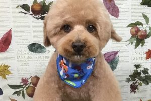 11月のお友達☆