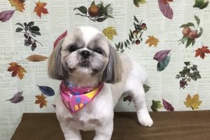 11月のお友達☆