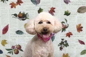 11月のお友達☆