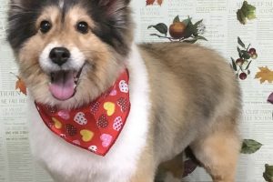 11月のお友達☆