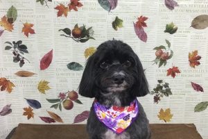 11月のお友達☆