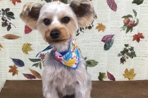 11月のお友達☆