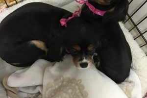 お泊り中☆