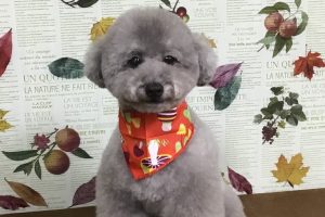 11月のお友達☆