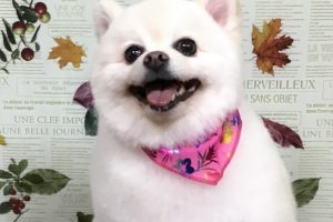 11月のお友達☆
